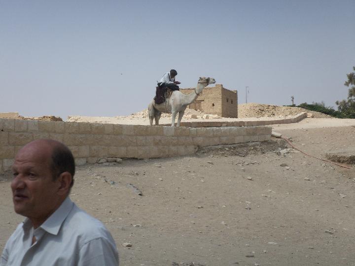 Click for original image